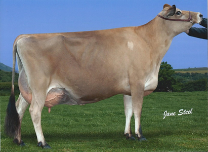 Bluegrass Lovely Lady